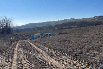 Teren de 500 mp, în Vânători - 1