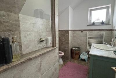 Oportunitate!! Casa individuala, afacere la cheie, Satu Mare - 12