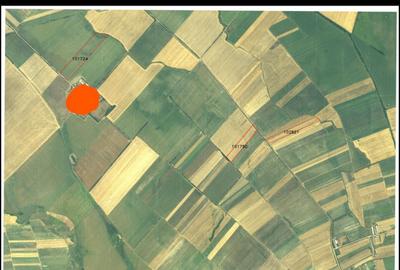 Spațiu comercial, în Săcășeni - 5