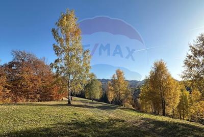 Oportunitate de investitie ! Teren de vis in Pestera - ... - 9