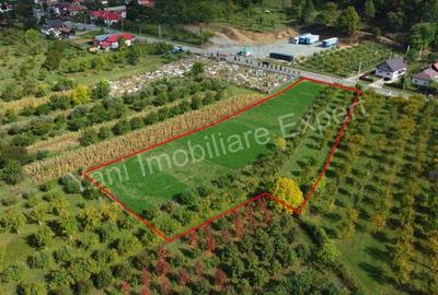 Teren de 2619 mp, în Oeștii Pământeni - 2