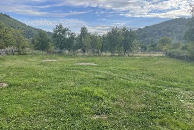 Casă cu 3 camere în Cotenești - 6