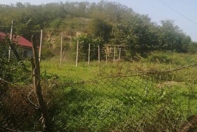 Teren Construcții intravilan de 2472 mp, în Malcoci