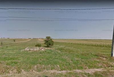 Teren intravilan situat in Oglinzi, loc. Raucesti, jud. NEAMT - 2