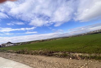 Spațiu comercial, în Orășeni-Deal - 4