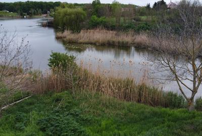 OCAZIE VANZARE TEREN CU DESCHIDERE LA LAC - 5
