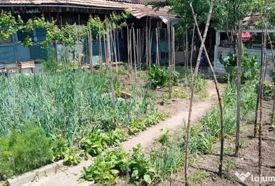 Casă cu 4 camere cu Teren 450 Mp în Central - 10