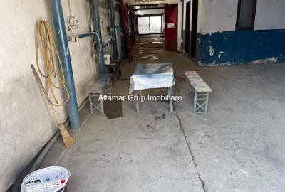 Teren intravilan în Giurgiului - 10