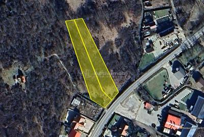 Resita, Terenuri Intravilane 2000 Mp., 28 Euro/Mp., Calea Ca - 17