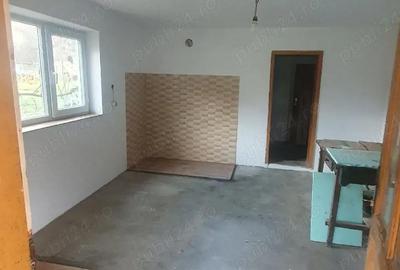 Casă cu Teren 3000 Mp în Dăbâca - 1