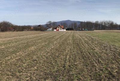 Teren de 3600 mp, în Prejmer - 6