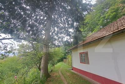 Casa de vanzare – Colonia 1 Mai 75.000 EURO - 1