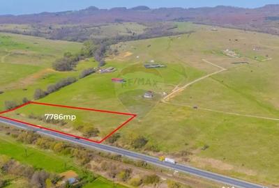 Teren de 7786 mp, în Vlădeni - 8