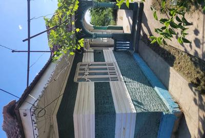 Casa batraneasca laga Vama Albita,