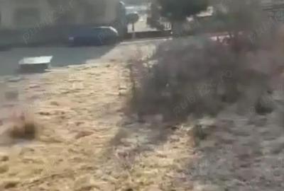 Teren de 2200 mp, în Criș - 2