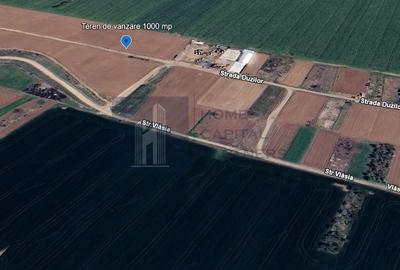 Teren agricol extravilan de 1000 mp, în Moara Vlăsiei - 1