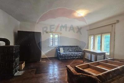 Casă cu 3 camere cu Teren 12955 Mp în Jdioara - 9