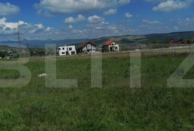 Teren intravilan 939 mp apa, gaz, curent pe partea stanga Micesti - 3