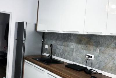 Apartament cu 2 camere decomandat, mobilat în Lujerului - 5