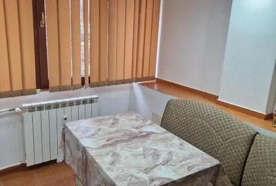 Garsoniera 35 mp Brazda lui Novac Pet Friendly - 3