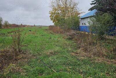 Teren de 18469 mp, în Butimanu - 1