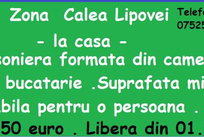 Garsonieră semidecomandată în Lipovei - 1