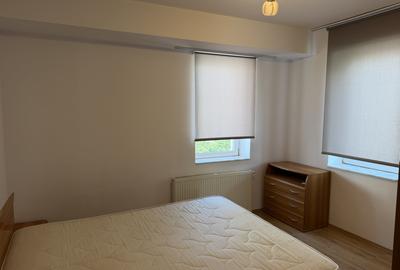 Apartament cu 2 camere decomandat, mobilat în Turnișor - 7