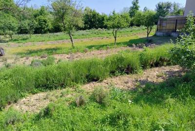 Teren de 870 mp, în Central - 5