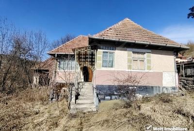 Teren Construcții intravilan de 2946 mp, în Micești - 2