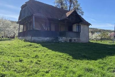 Teren cu casa demolabila Valea Chintaului 2000 mp extravilan - 2