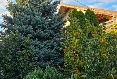 Casa 3 dormitoare Sendreni - 13