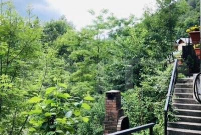 Re?edin?a cu destina?ie de pensiune, 382mp utili si 1000 - 6