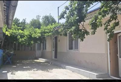 Casă cu 3 camere cu Teren 1900 Mp în Central - 2