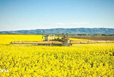 Teren de 3000 mp, în Brazda lui Novac - 6