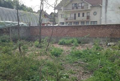 Casă cu 3 camere cu Teren 600 Mp în Câmpeni - 2