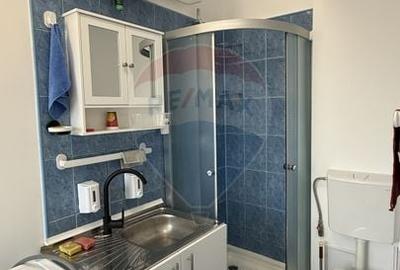 De inchiriat! Garsoniera la Universitate - 6