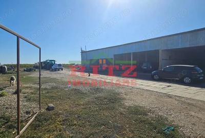 Teren de 56800 mp, în Fărcașele - 7