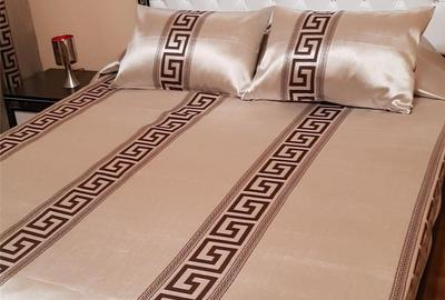 Apartament cu 3 camere decomandat în Central - 9