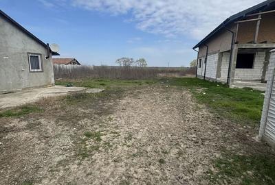Casă cu 3 camere cu Teren 2400 Mp în Smeeni - 8