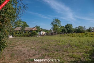 Casă individuală cu 4 camere cu Teren 2106 Mp în Potârnichea - 19