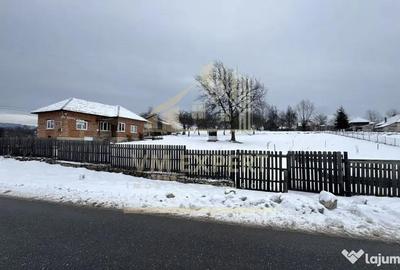 Casă cu 4 camere cu Teren 3038 Mp în Albești - 1