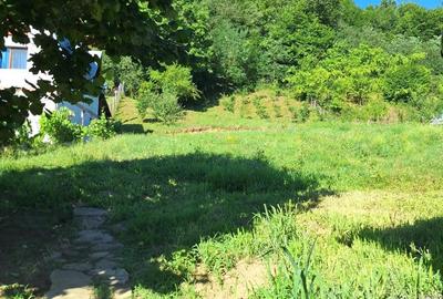 Casă cu Teren 2115 Mp în Urseiu - 1