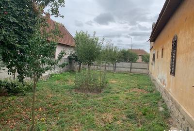 Casă cu 6 camere în Belinț - 4