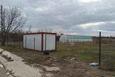 Teren de 2500 mp, în Romanu - 5