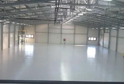 Spațiu industrial, de 1,343 mp, în Theodor Pallady