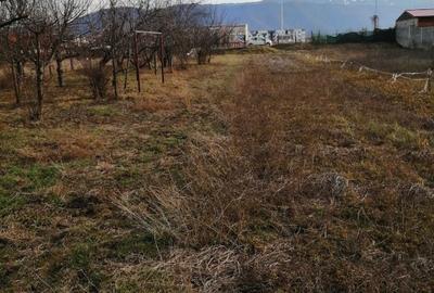 Teren de 934 mp, în Central - 3