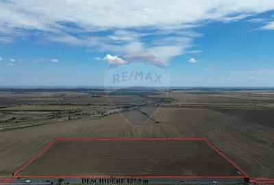 Teren Tisita/ DN2 E85 2.75 ha - 4