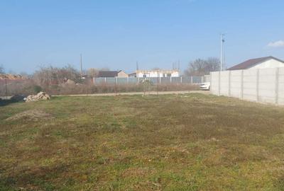 Spațiu comercial, în Chiscani - 7