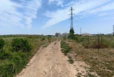 Teren de 2925 mp, în Albert - 8