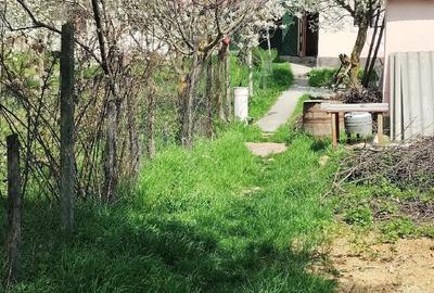 Casă cu 3 camere cu Teren 1650 Mp în Racovițeni - 10